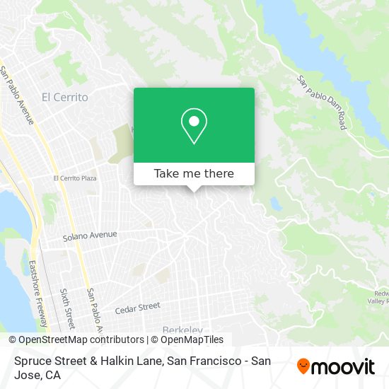 Spruce Street & Halkin Lane map