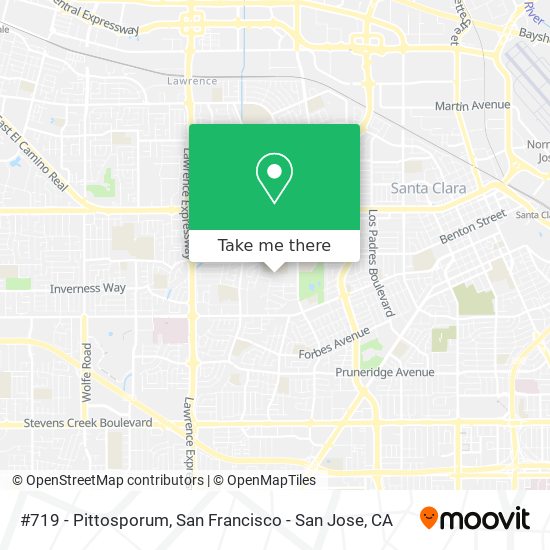 #719 - Pittosporum map