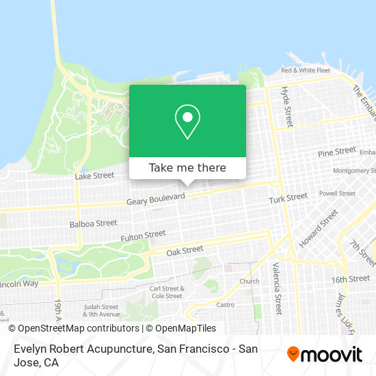 Evelyn Robert Acupuncture map