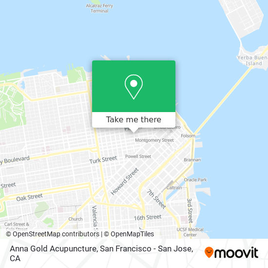 Anna Gold Acupuncture map