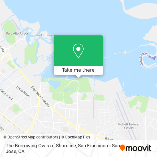 The Burrowing Owls of Shoreline map