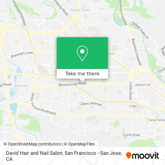 David Hair and Nail Salon map