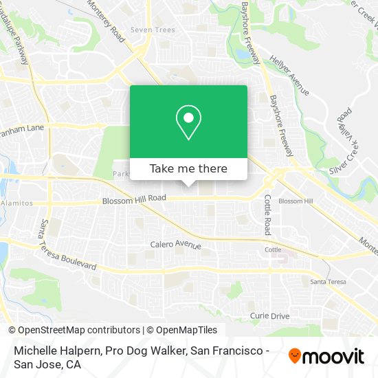 Michelle Halpern, Pro Dog Walker map