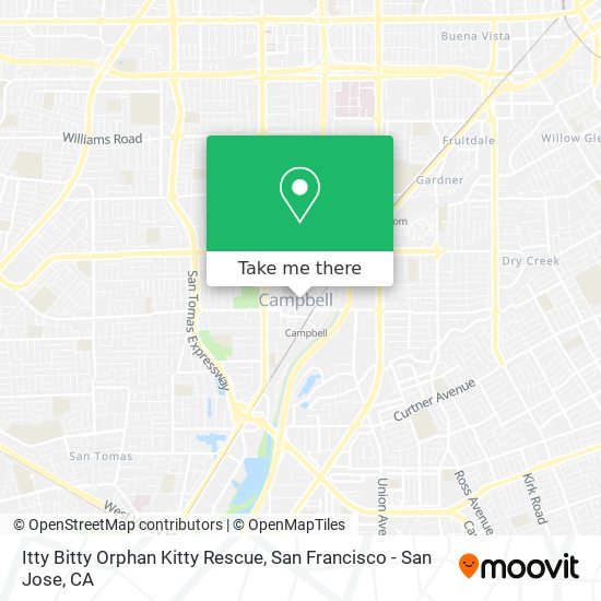 Itty Bitty Orphan Kitty Rescue map