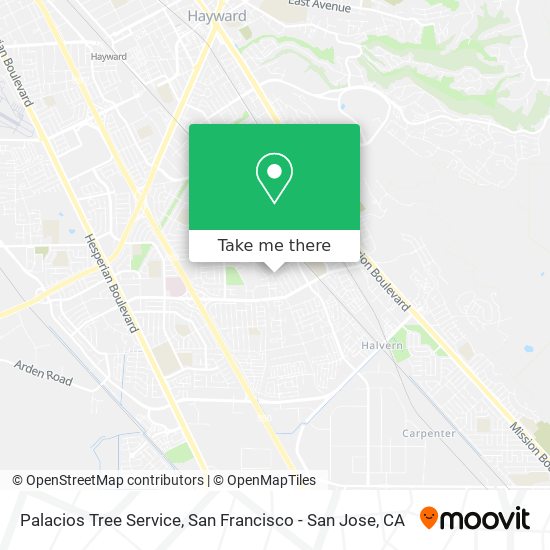 Palacios Tree Service map