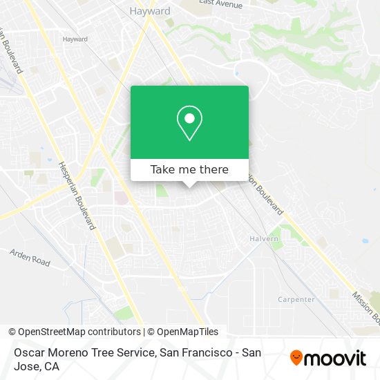 Mapa de Oscar Moreno Tree Service