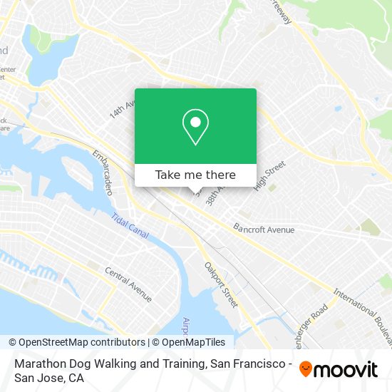 Marathon Dog Walking and Training map