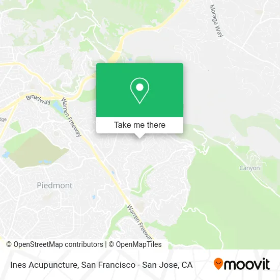 Ines Acupuncture map