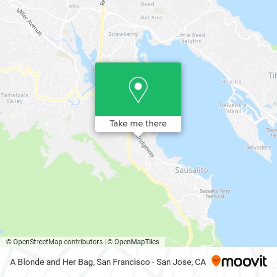 A Blonde and Her Bag map