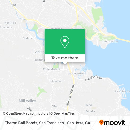 Theron Bail Bonds map