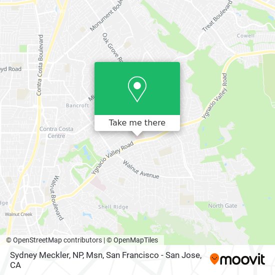 Mapa de Sydney Meckler, NP, Msn