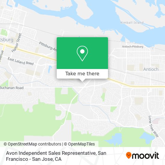 Avon Independent Sales Representative map