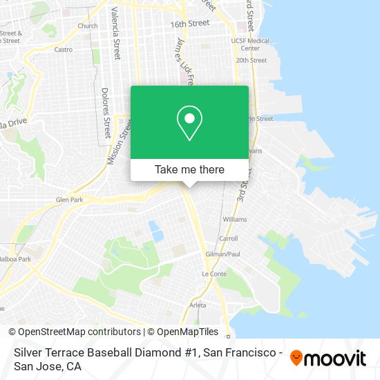 Silver Terrace Baseball Diamond #1 map