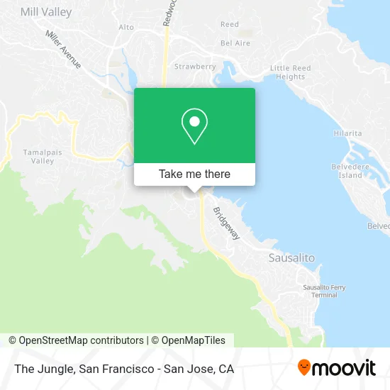 The Jungle map
