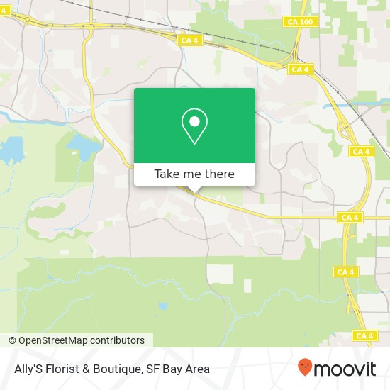 Ally'S Florist & Boutique map