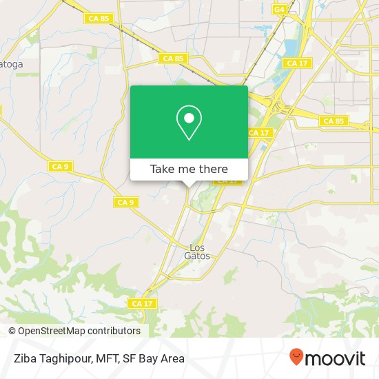 Ziba Taghipour, MFT map