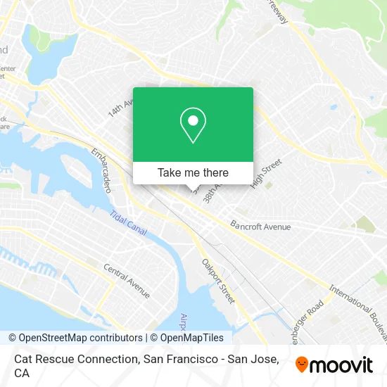 Cat Rescue Connection map