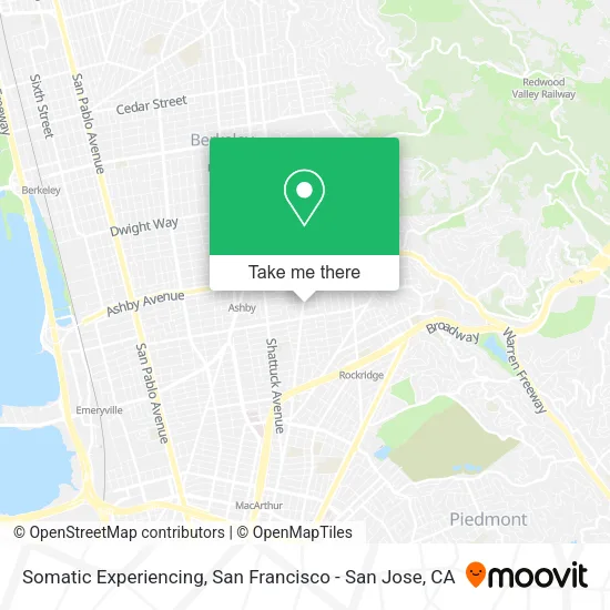 Somatic Experiencing map