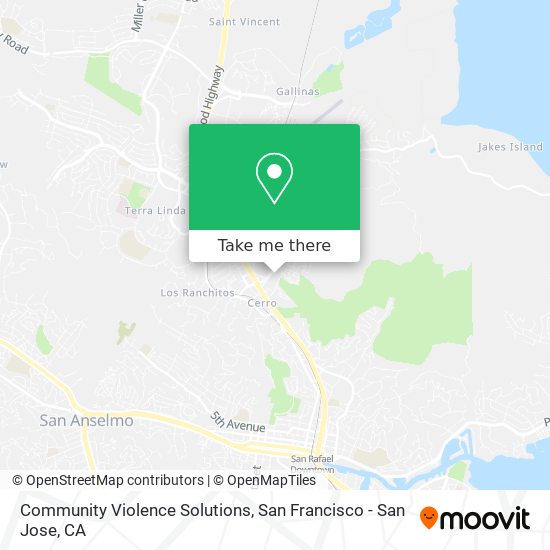 Community Violence Solutions map