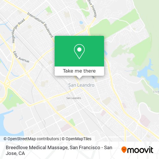 Breedlove Medical Massage map