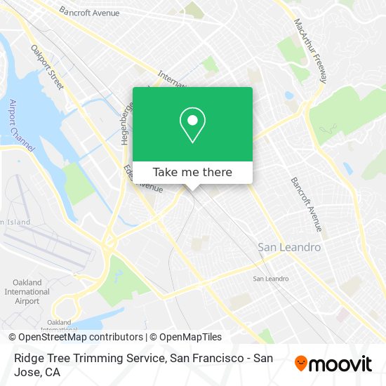 Ridge Tree Trimming Service map