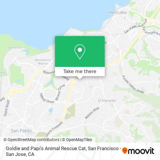 Mapa de Goldie and Papi's Animal Rescue Cat