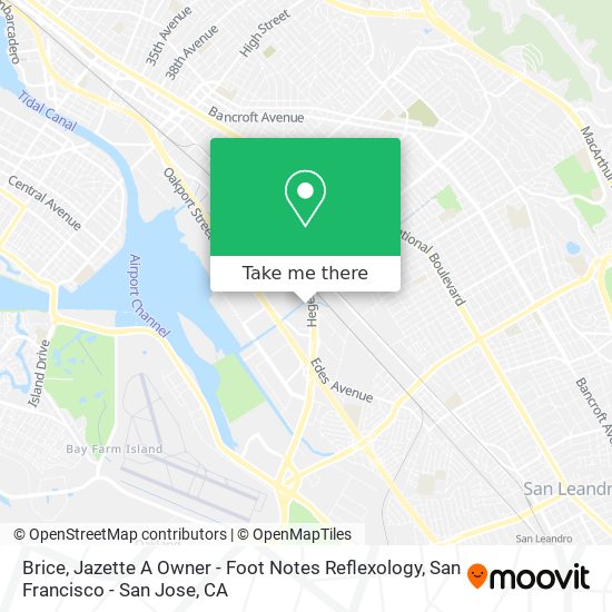 Brice, Jazette A Owner - Foot Notes Reflexology map