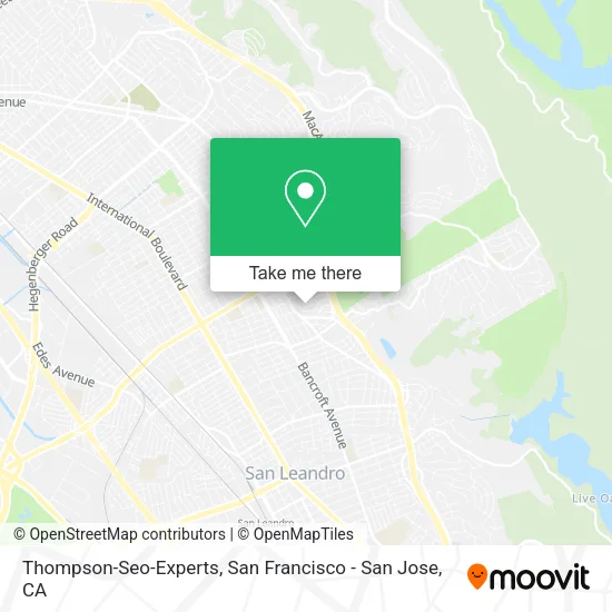 Mapa de Thompson-Seo-Experts