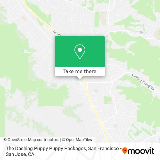 Mapa de The Dashing Puppy Puppy Packages