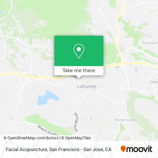 Facial Acupuncture map