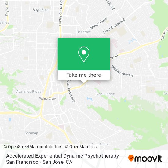 Accelerated Experiential Dynamic Psychotherapy map