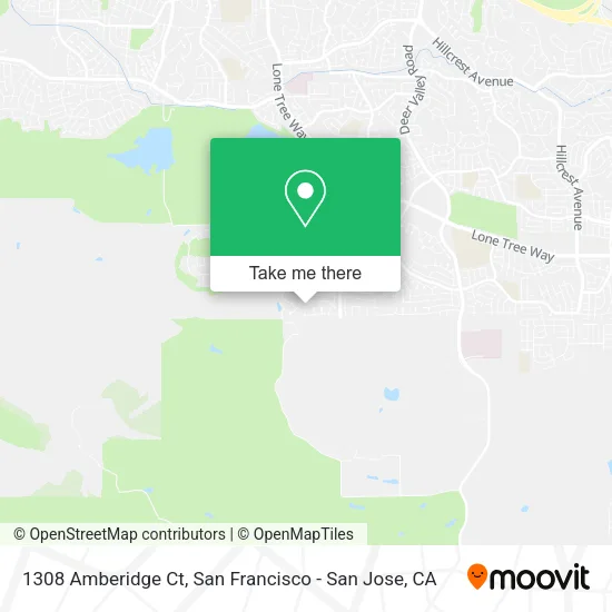 Mapa de 1308 Amberidge Ct