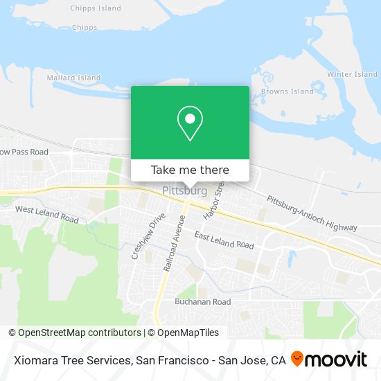 Xiomara Tree Services map