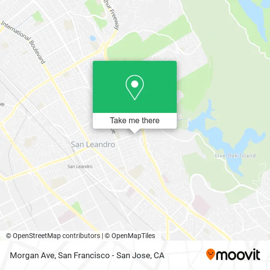 Mapa de Morgan Ave