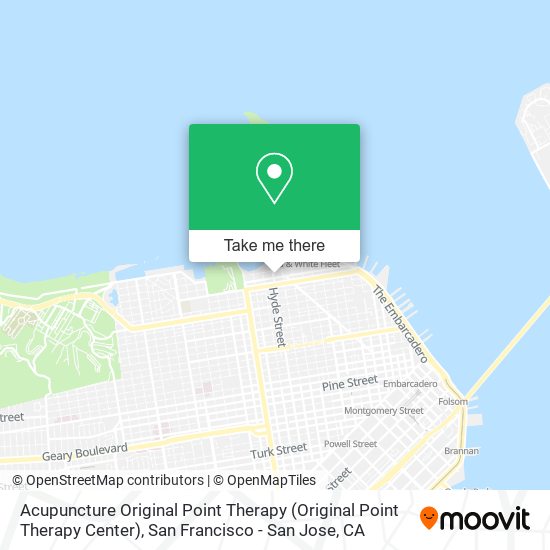 Acupuncture Original Point Therapy map