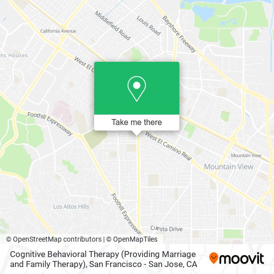 Cognitive Behavioral Therapy (Providing Marriage and Family Therapy) map