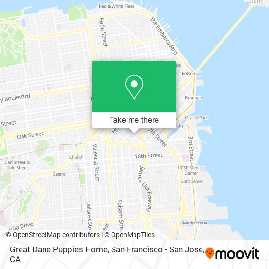 Great Dane Puppies Home map