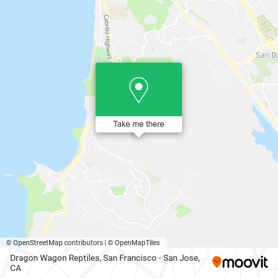 Dragon Wagon Reptiles map