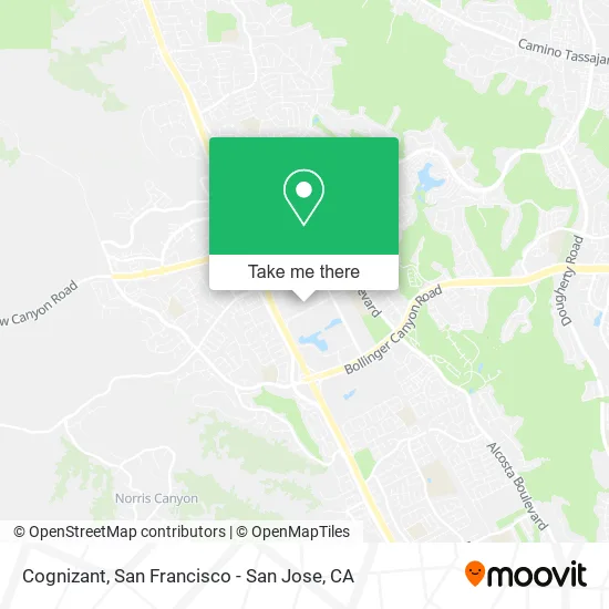 Cognizant map