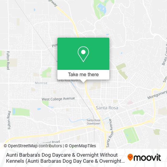 Aunti Barbara's Dog Daycare & Overnight Without Kennels map