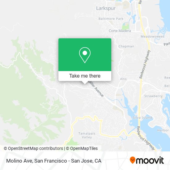 Molino Ave map