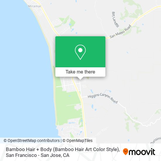 Mapa de Bamboo Hair + Body (Bamboo Hair Art Color Style)