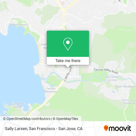 Sally Larsen map