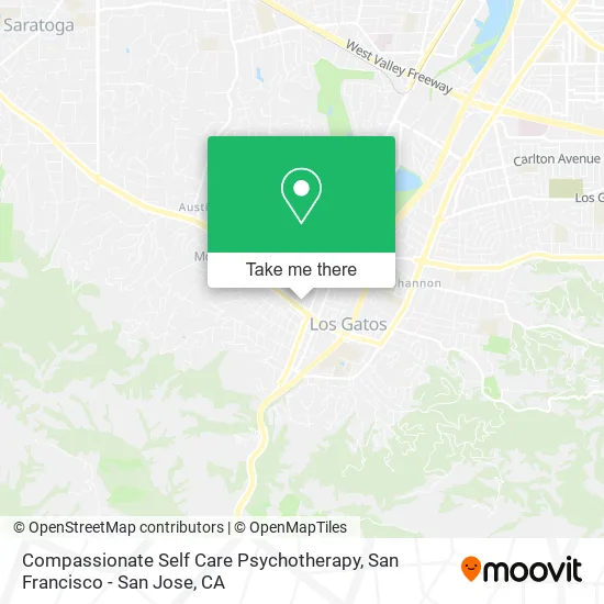 Mapa de Compassionate Self Care Psychotherapy