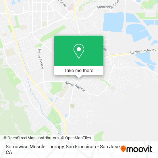 Somawise Muscle Therapy map