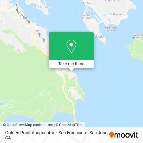 Golden Point Acupuncture map