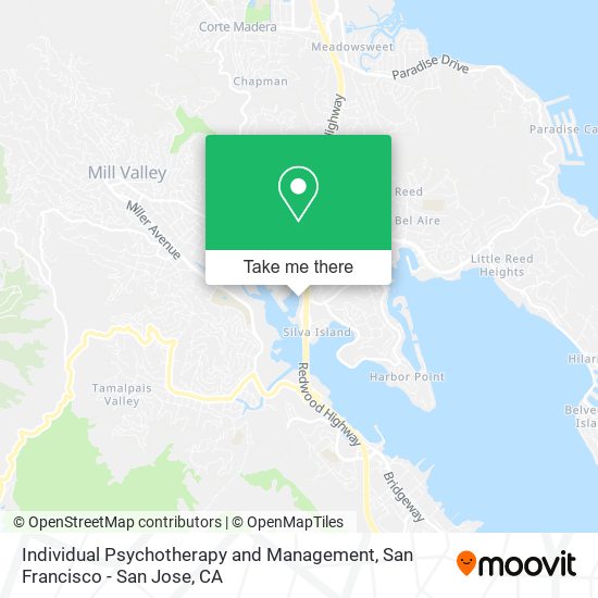 Individual Psychotherapy and Management map