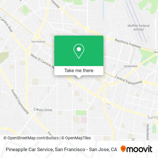 Pineapple Car Service map