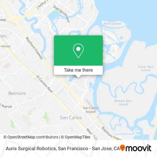 Auris Surgical Robotics map