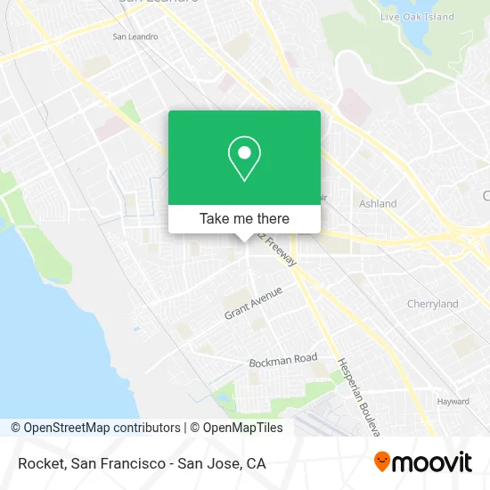Rocket map